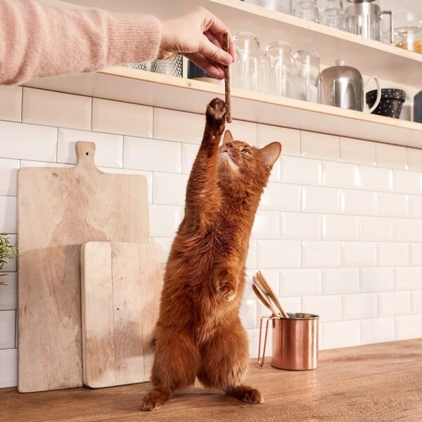 GimCat Sticks Somonlu Ödül Çubuğu 5 Gr