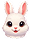 Kemirgen