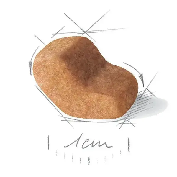 Royal Canin Shih Tzu Yetişkin Köpek Maması 1,5kg