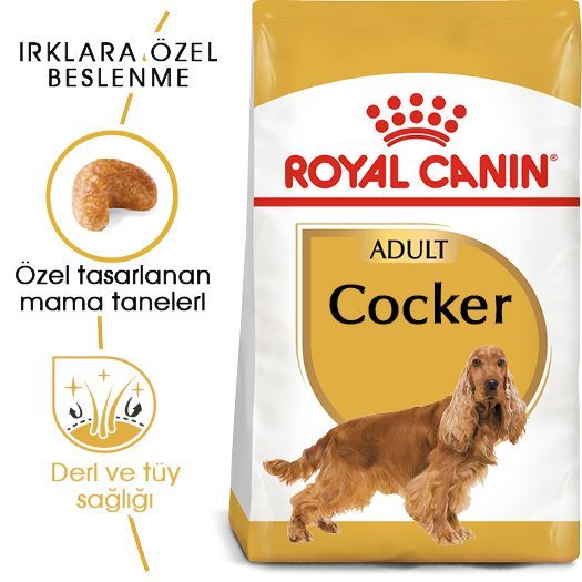 Royal Canin Cocker Özel Irk Yetişkin Köpek Maması 3 kg