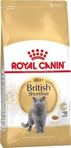 Royal Canin British Shorthair 2 kg Yetişkin Kedi Maması