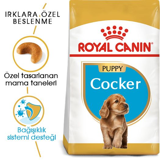 Royal Canin Cocker Puppy Irk Yavru Köpek Maması 3 Kg