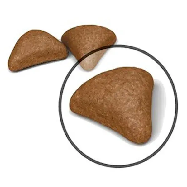 Royal Canin Hairball Care 2 Kg Yetişkin Kuru Kedi Maması