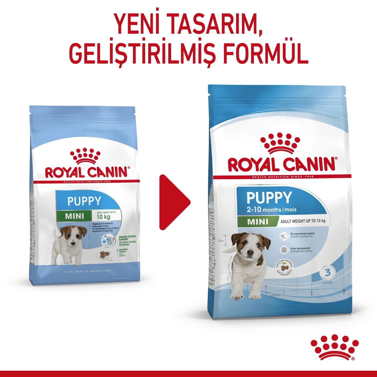 Royal Canin Mini Puppy 2 kg Küçük Irk Yavru Köpek Maması