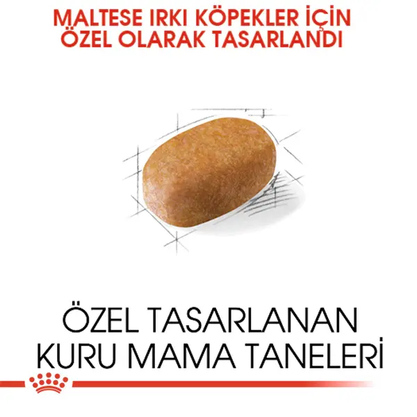 Royal Canin Adult Maltese Terrier 1.5 kg Özel Irk Yetişkin Köpek Maması