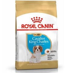 Royal Canin Cavalier King Charles Junior 1.5 kg Yavru Köpek Maması