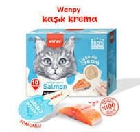 Wanpy Somonlu Kaşıklı Sıvı Kedi Ödül Maması