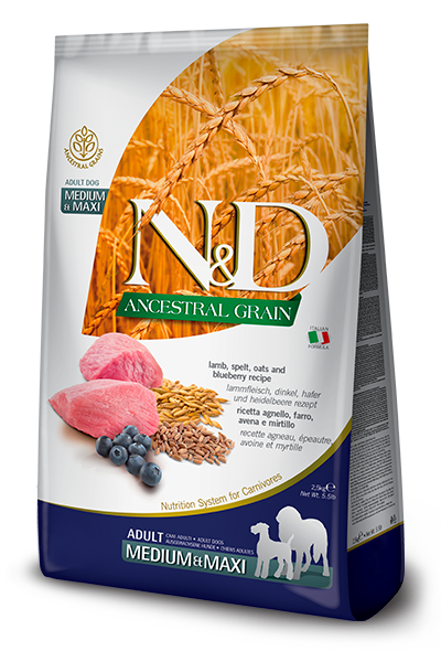 N&D Ancestral Grain Medium Maxi Yaban Mersinli Kuzulu Düşük Tahıllı Yetişkin Köpek Maması 2,5 Kg