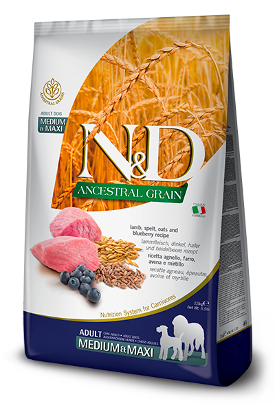 N&D Ancestral Grain Medium Maxi Yaban Mersinli Kuzulu Düşük Tahıllı Yetişkin Köpek Maması 2,5 Kg