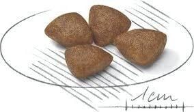 Royal Canin Mini Starter Küçük Irk Yavru Köpek Maması 1 KG