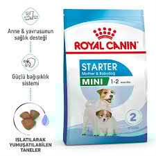 Royal Canin Mini Starter Küçük Irk Yavru Köpek Maması 1 KG