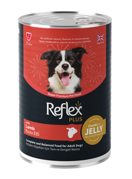 Reflex Plus Jöle İçinde Et Parçacıklı Kuzu Etli Yetişkin Köpek Maması 400G