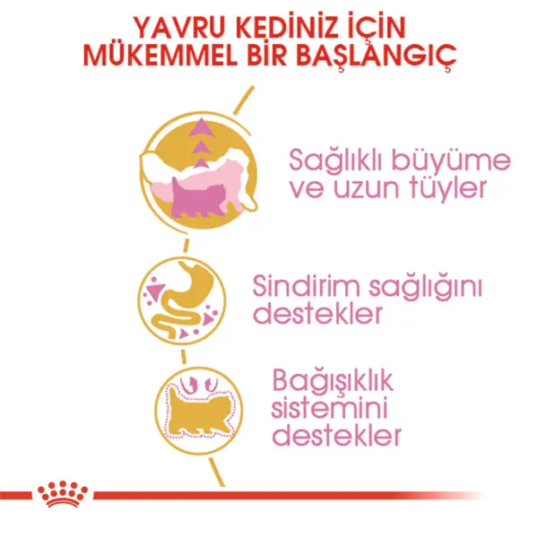 Royal Canin Kitten İran Kedileri İçin Yavru Kedi Maması 2kg