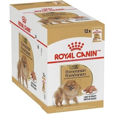 Royal Canin Adult Pomeranian Yetişkin Pouch Maması 12x85gr