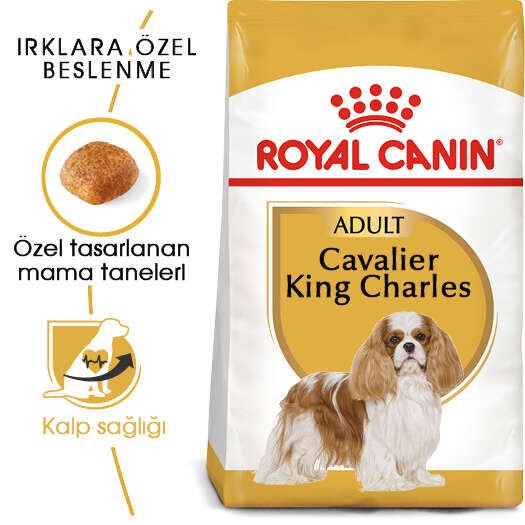 Royal Canin Cavalier King Charles 1.5 kg Irka Özel Yetişkin Köpek Maması