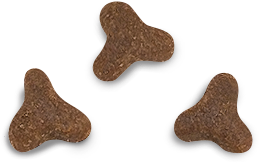 Unique Somonlu 2 kg Yavru Kedi Maması