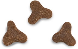 Unique Somonlu 2 kg Yavru Kedi Maması