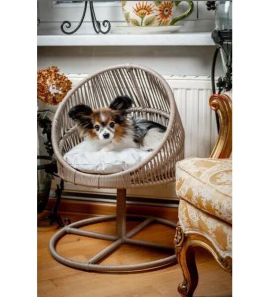 Lepus lüxperi Galaxi Model Mix Kedi Yatağı