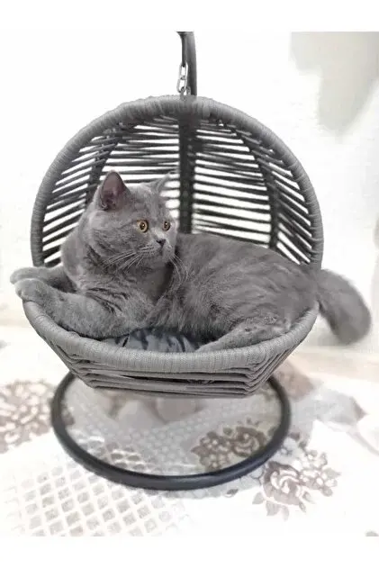 lüxperi Kedi Salıncağı & Kedi Yatağı (sabitleme Aparatlı)