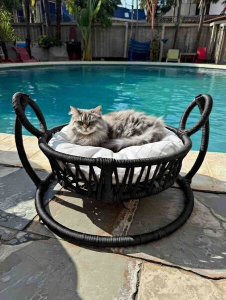 C-Pet Sepet Model Salıncaklı Kedi Yatağı