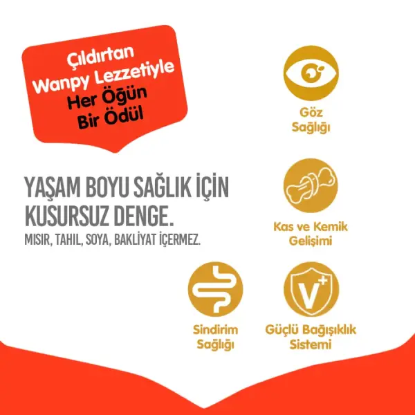 Wanpy Tahılsız Tavuklu Yavru Kedi Maması 8 kg