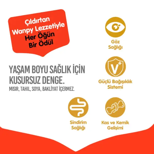 Wanpy Tahılsız Tavuklu Yetişkin Kedi Maması 8 kg