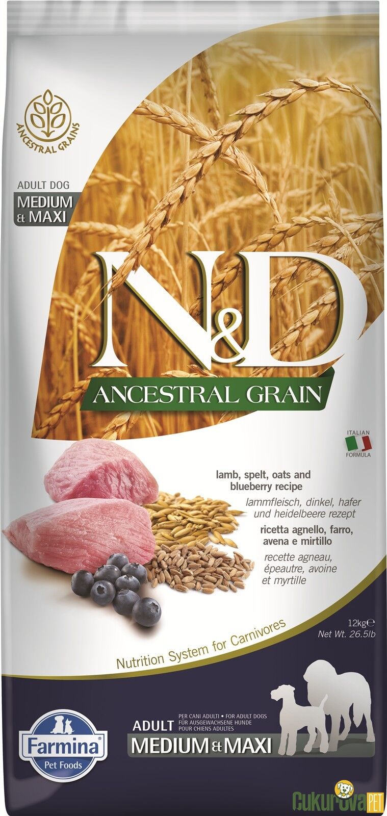 N&D Ancestral Grain Medium Maxi Yaban Mersinli Kuzulu Düşük Tahıllı Yetişkin Köpek Maması 12 Kg