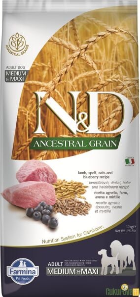 N&D Ancestral Grain Medium Maxi Yaban Mersinli Kuzulu Düşük Tahıllı Yetişkin Köpek Maması 12 Kg