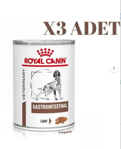 Royal Canin Gastrointestinal Hassas Sindirim Sistemine Özel Köpek Maması 400 gr x 3 Adet