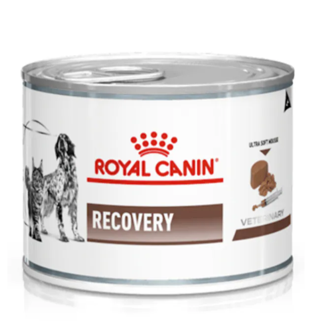 Royal Canin 195 gr Recovery Kedi Köpek Konservesi 195 gr x 6