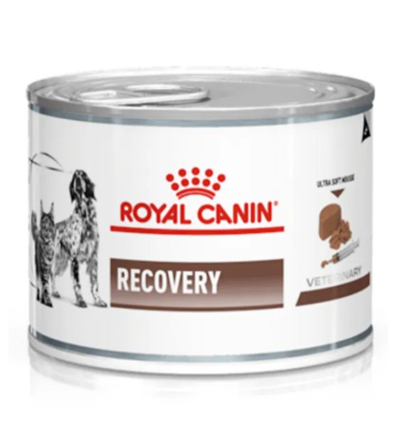Royal Canin 195 gr Recovery Kedi Köpek Konservesi 195 gr x 6
