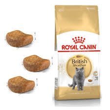 Royal Canin British Shorthair 10 kg Yetişkin Kedi Maması