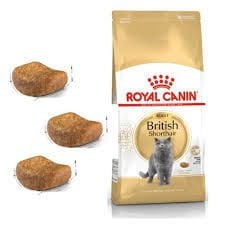 Royal Canin British Shorthair 10 kg Yetişkin Kedi Maması