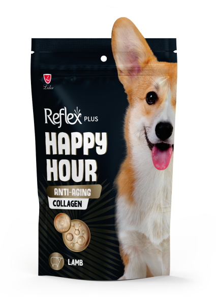 Reflex Plus Happy Hour / Anti-Aging Collagen Köpek Ödül Maması