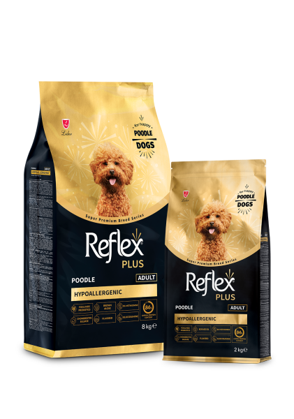 ​Reflex Plus Poodle Yetişkin Köpek Maması 8kg