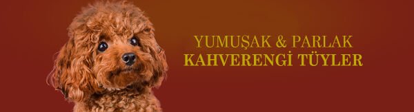ND Brown Mini Puppy Kuzu ve Havuç Kahverengi Tüylü Mini Irk Tahılsız Yavru Köpek Maması 1,5 Kg